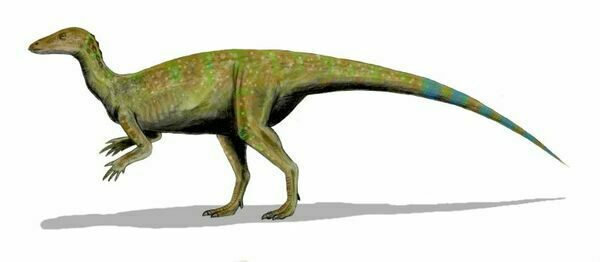 Artists reconstruction of Thescelosaurus.  By Nobu Tamura, Creative Commons License